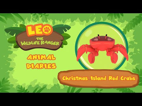 Witness21 Editor  2021 12 25