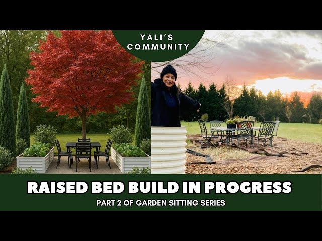 Judge.me YouTube video placeholder