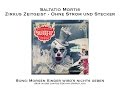 Saltatio Mortis - Fest der Liebe - Morgen Kinder ...