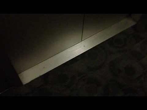 High Speed Schindler Elevators at Capella Tower