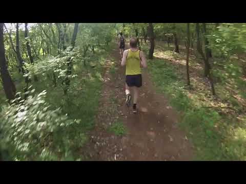 DSR capsule - IV Dairago Spring Run