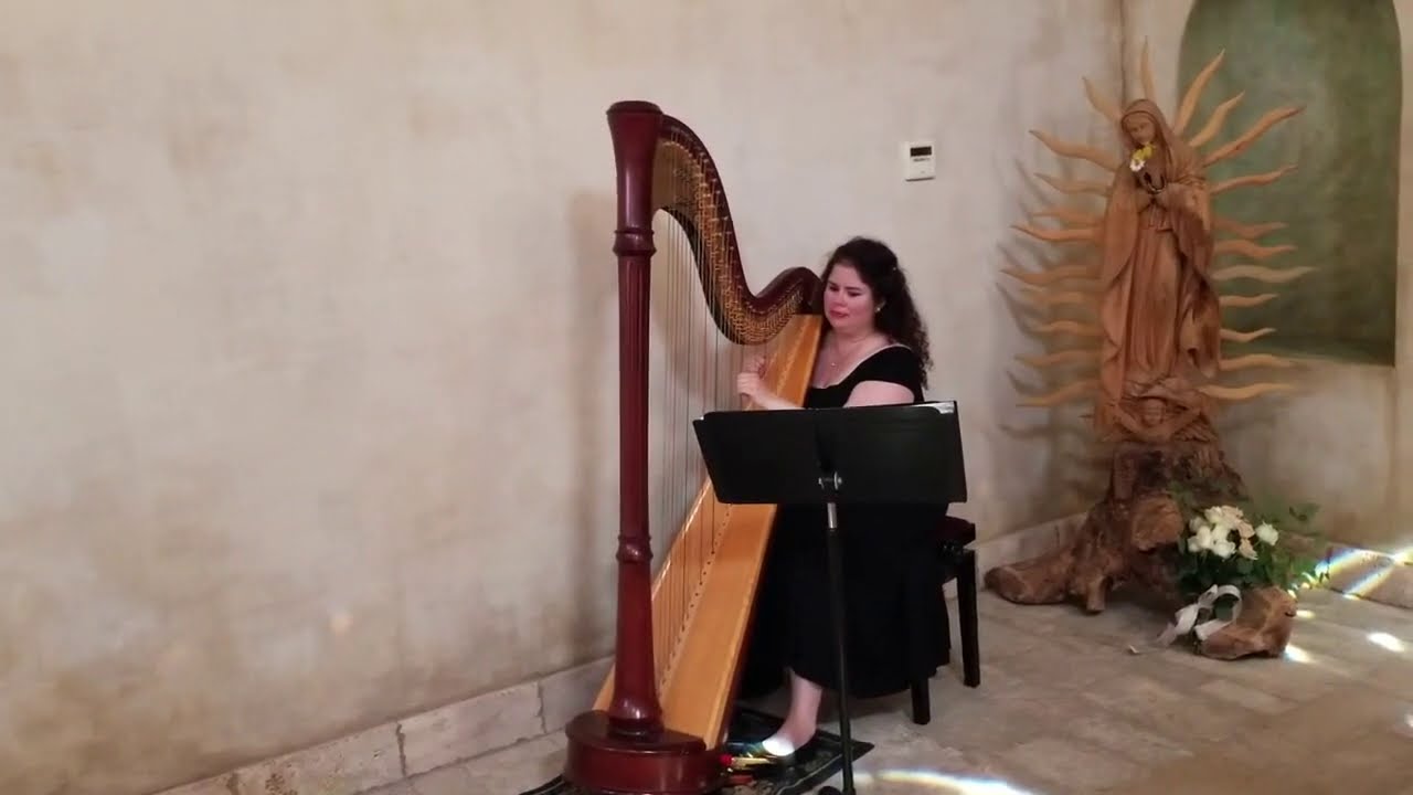 Promotional video thumbnail 1 for Beverly Arnold, Harpist