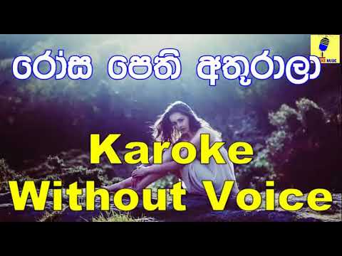 Rosa Pethi Athurala - Chamara Weerasinghe Karoke Without Voice