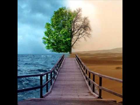 rodica olariu  te as ierta