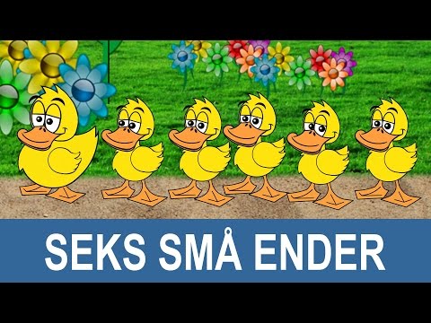 Seks små ender | Barnesanger på norsk