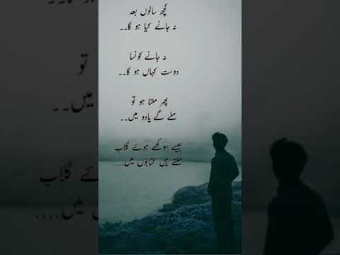 friendship poetry#urdu poetry for best friend#sad whatsappstatus#trending #viral short#short