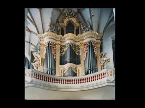 J.S. Bach: Passacaglia und Fuge in c BWV 582 Andreas Fischer an der Silbermann-Orgel Dom zu Freiberg