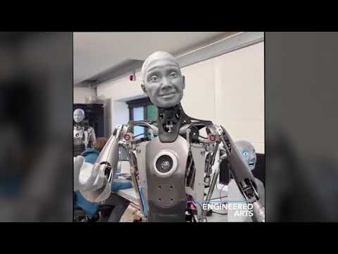 Dumpster Fire 77 Clip - It's The Gay Frogs!