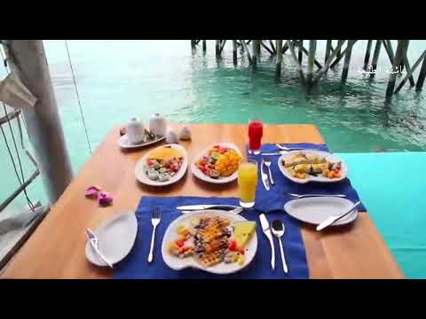 #المالديف وروعة جمالها #الساحر 🥰 #maldives 💛 #nature 🌊 #عاشقة_الطبيعة 🌴🛖