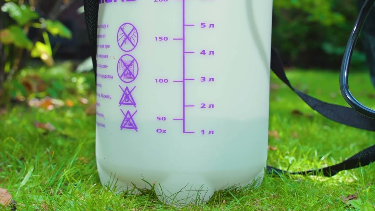 Видео-превью