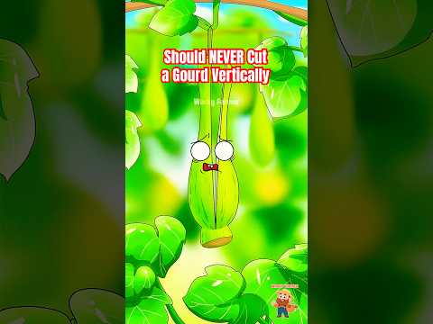 Why You Should NEVER Cut a Gourd Vertically? #gourds #animation