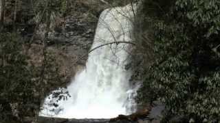 preview picture of video 'A Hike Along Little Stoney Creek to Cascade and Upper Cascade Falls, Virginia'