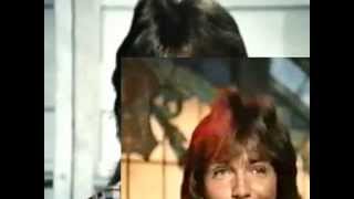 The Partridge Family - I&#39;ll Meet You Halfway