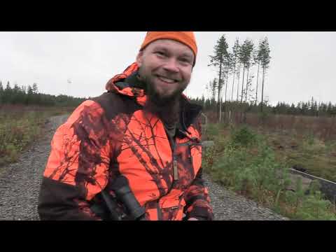 korpimakasiini1 2024