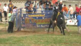 preview picture of video 'jaripeo en patzcuaro'