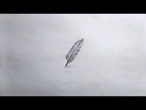 Simple birds quill drawing | how to draw quill for beginners | feather drawing ~ tutorial