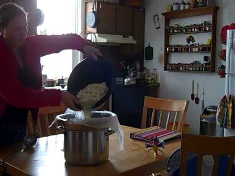 download lagu mp3 mp4 Mozzarella Strain, download lagu Mozzarella Strain gratis, unduh video klip Mozzarella Strain