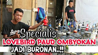 Download lagu Specialis LOVEBIRD PAUD OMBYOKAN | OM WAHYU SURO DI SERBU PELANGGAN mp3