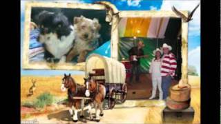 You Are My Sunshine  Willie Nelson