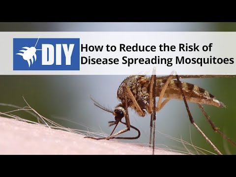  How to Reduce the Risk of Disease Spreading Mosquitoes Video 