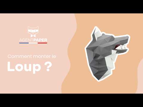 Loup - vidéo de présentation