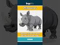 rhinoceros (noun) - definition and usage in English