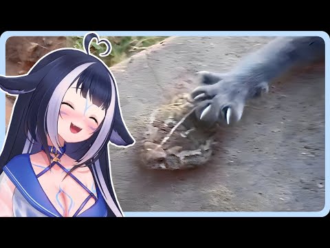 Shylily reacts to UNUSUAL MEMES COMPILATION V239