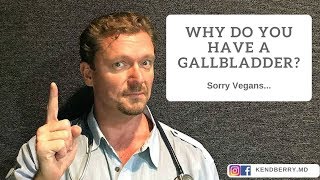 Why Do You Have a Gallbladder? Part 1;  Vegans Please Don't Be Mad...