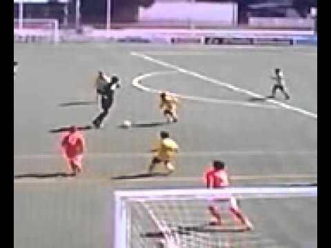 Alevin at A son sardina