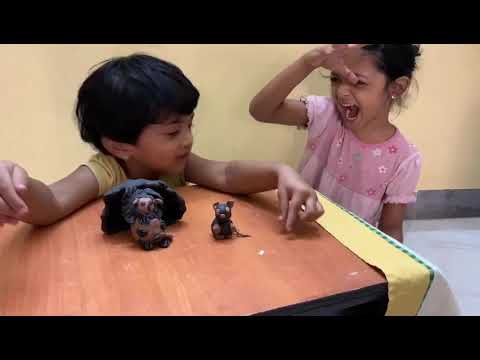 Deekshana telling story about lion and mouse