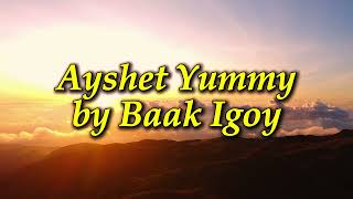 Download lagu Ayshet Yummy by Shagem  Lyric Visualizer mp3