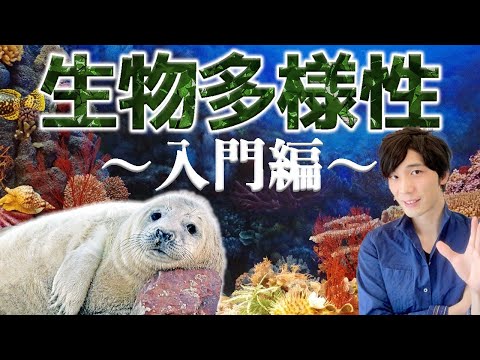 生物の種数と大きさの関係