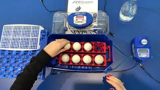 Borotto® Lumia 8 Automatic Egg Incubator