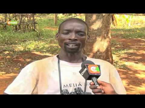 Your Story: Elicky Kibyego, Snake Catcher