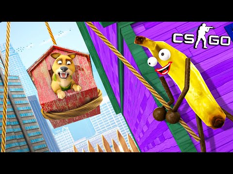 СОБАКА ПРОСТО В ШОКЕ! СУПЕР ТРОЛЛЬ БАНАН vs МЕГА ЗЛОЙ ПЁС! МАНЬЯК В CS:GO (ВЕСЕЛЫЕ ПРЯТКИ В КС ГО)