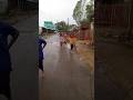 ঘূর্নিঝড়ে ভেঙে চুরমার Shorts Rx Rxroni Viralvideo