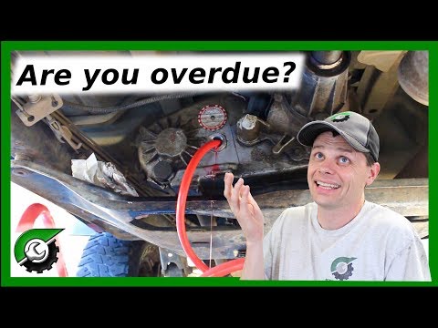 231 Transfer Case: Red Line fluid change