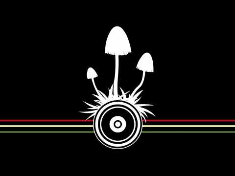 Skunk Kut - C'est Pas Sorcier (Psiloshock ft. Blondi Remix)