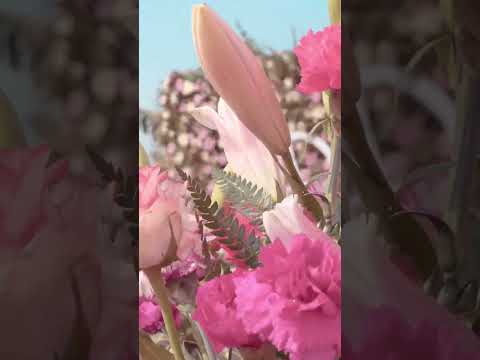Wedding Planner portfolio by The Wedding Petals in Delhi - Photo 2