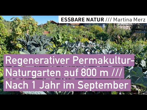 Regenerative permaculture self-sufficient garden on 800 m, garden design & experiences in the 1st...