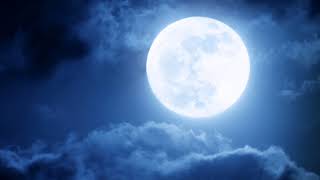 The Mavericks - I said i love you