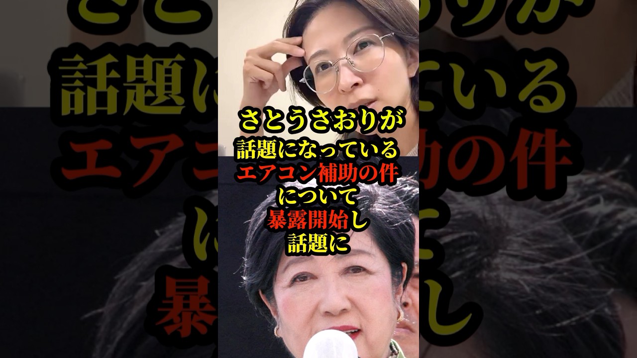 さとうさおりがエアコン補助金の件について暴露開始しヤバすぎると話題に#政治 #自民党 #国会