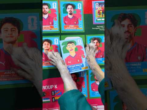 La estampita del mundial ⚽