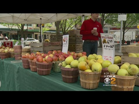 SNAP, Food Stamp Recipients Can Shop Farmers Markets...