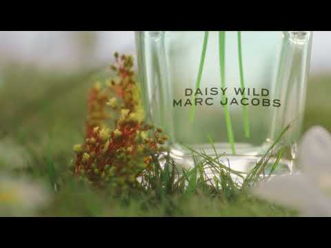 Daisy Wild - EDP