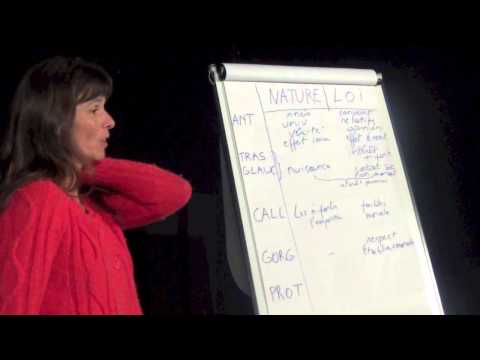 Les premières philosophies en Grèce - Séance 7 - par Annick Stevens - Théâtre Toursky - 7 mai 2014