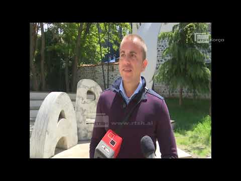 Bashkëbisedim për romanin “Viti i Elefantit”