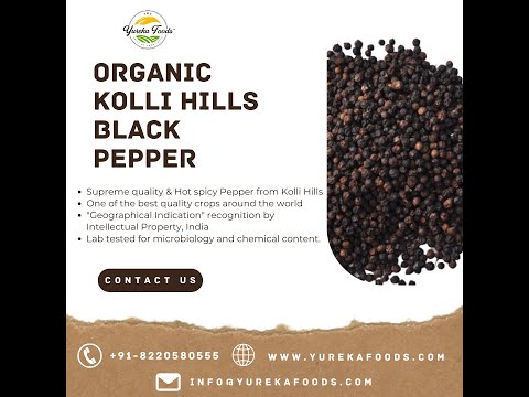 Yureka Black Pepper- Kolli Hills Pepper