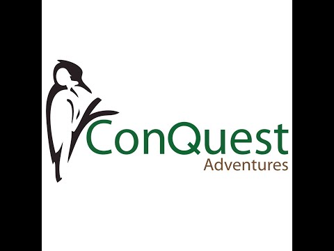 Guided Tours East Africa