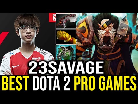 23Savage - Lone Druid | Dota 2 Pro Gameplay [Learn Top Dota]